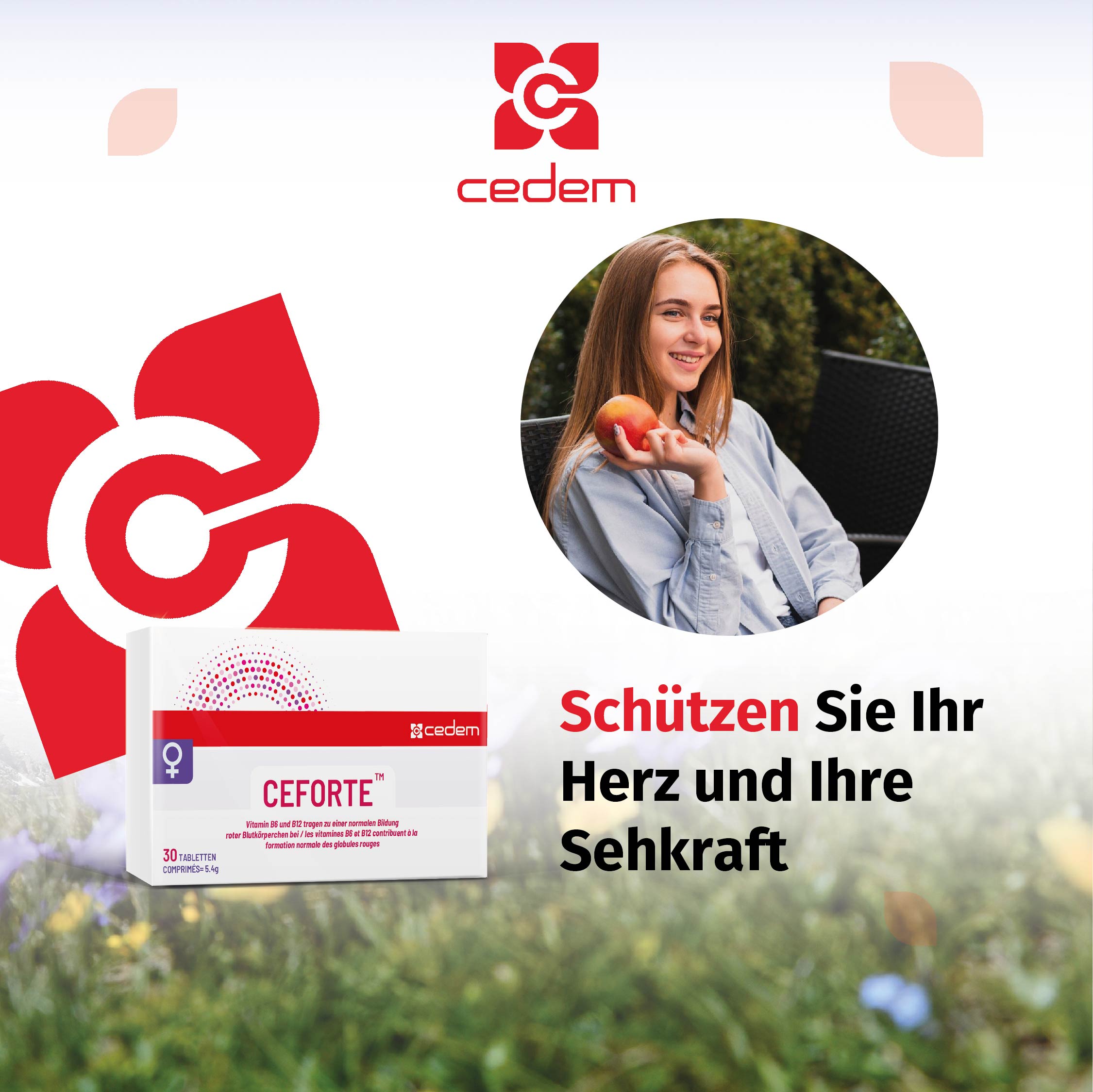 CEFORTE – Vitamin B12 B6 Folsäure, 30 Tabletten (1 VE = 24 Stück)
