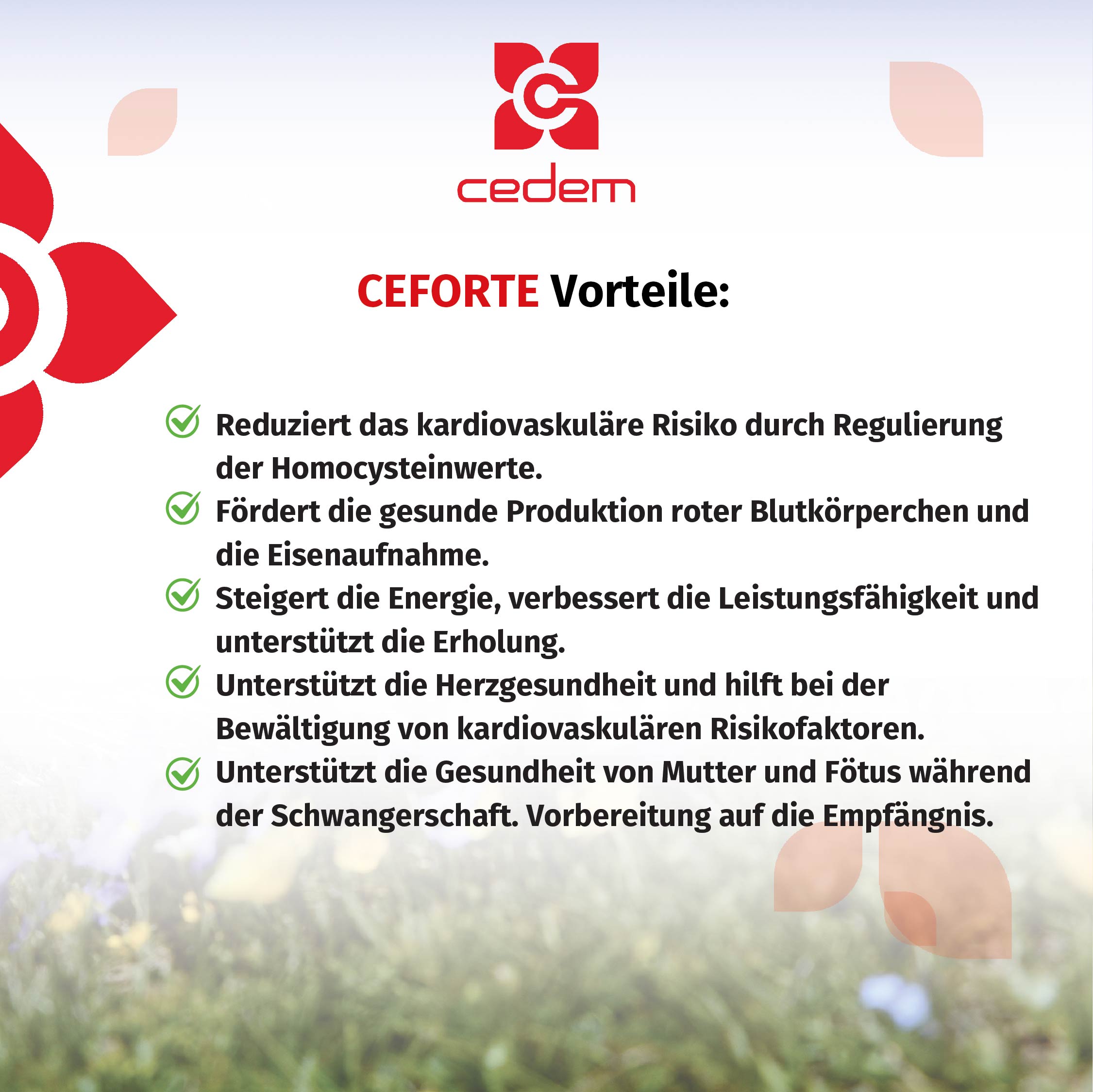 CEFORTE – Vitamin B12 B6 Folsäure, 30 Tabletten (1 VE = 24 Stück)